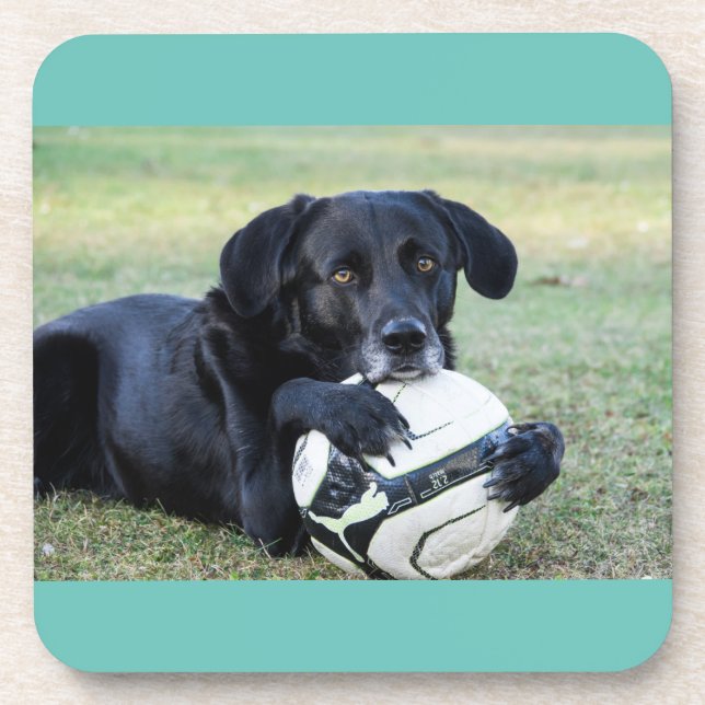 Posavasos Cáscaras de laboratorio negras. Set de seis. (Frente)