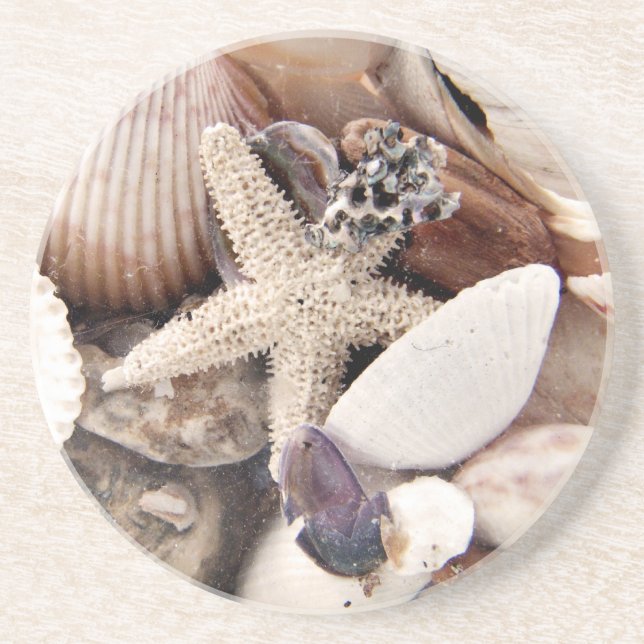 Posavasos Cáscaras del mar (Frente)