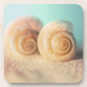 Posavasos Cáscaras del nautilus en la playa