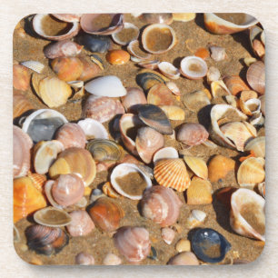 Posavasos Cáscaras en una playa de Sandy el Andalucía,