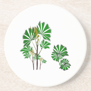 Posavasos Cascos de árboles Evergreen Tropical