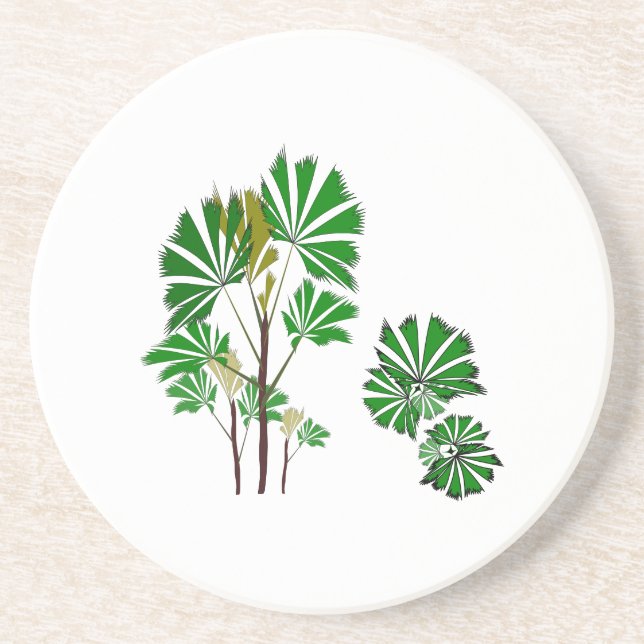 Posavasos Cascos de árboles Evergreen Tropical (Frente)