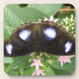 Posavasos Cascos de Corcho de Mariposa Azul