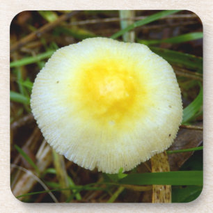 Posavasos Casquillo de campo amarillo Mushroom Duras Ataques