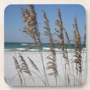 Posavasos Castillos de avena del mar de Florida