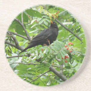 Posavasos Castillos de aves negras y bayas