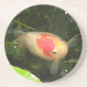 Posavasos Castillos de peces dorados