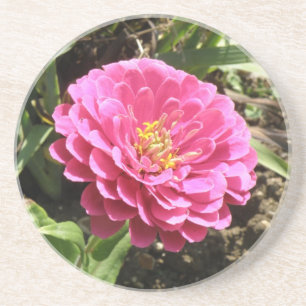 Posavasos Castillos rosados de Zinnia