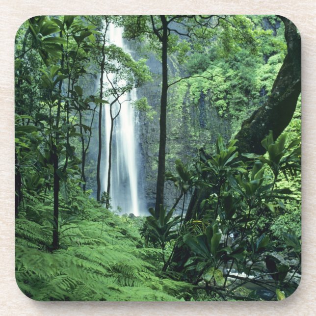 Posavasos Cataratas Hanakapiai a lo largo de la costa de Na  (Frente)
