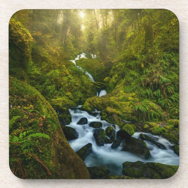 Posavasos Cataratas | Parque Nacional Olímpico, Washington (Frente)