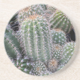 Posavasos Catastro de Cacti