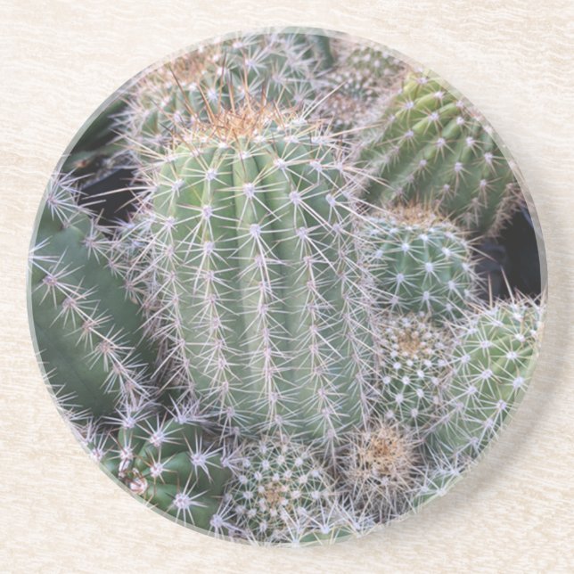 Posavasos Catastro de Cacti (Frente)