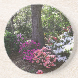 Posavasos Catastro de flores y bosques