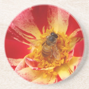Posavasos Catastro de rosas y abejas rojas