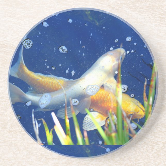 Posavasos catastro del estanque de koi (Frente)
