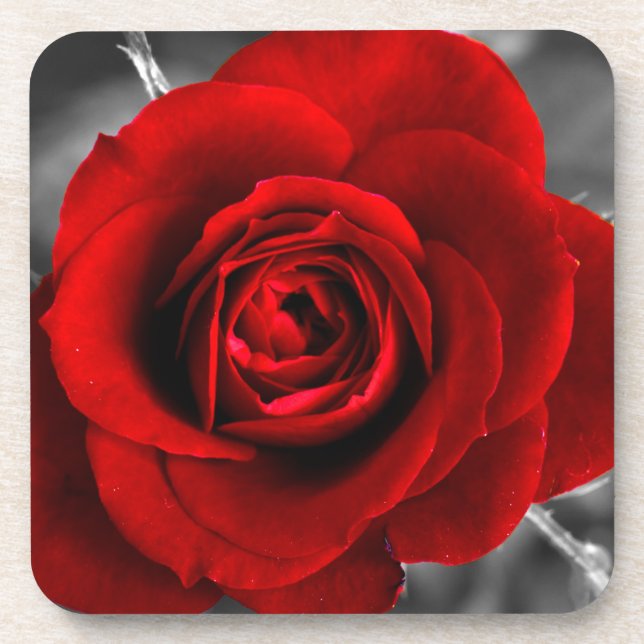 Posavasos Catastro gótico de la Rosa Roja (Frente)