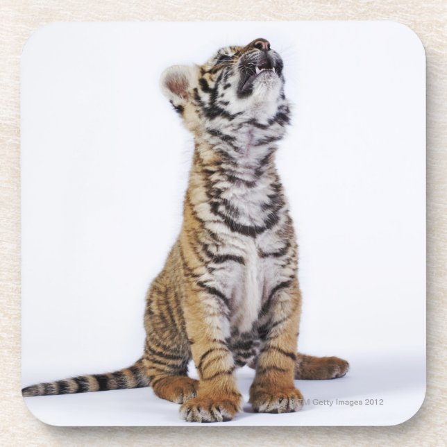 Posavasos Cautivo, Suráfrica (Frente)