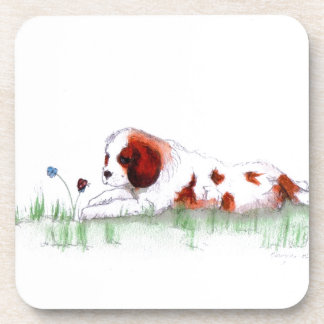 Posavasos Cavalier King Charles Spaniel CKC