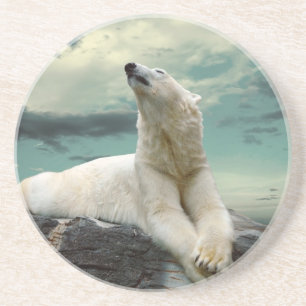 Posavasos Cazador blanco del oso polar en roca