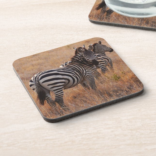Posavasos Cebra en Kenia (Lado Izquierdo)