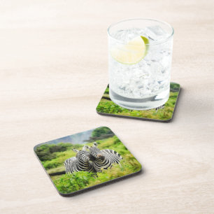 Posavasos Cebras en la naturaleza