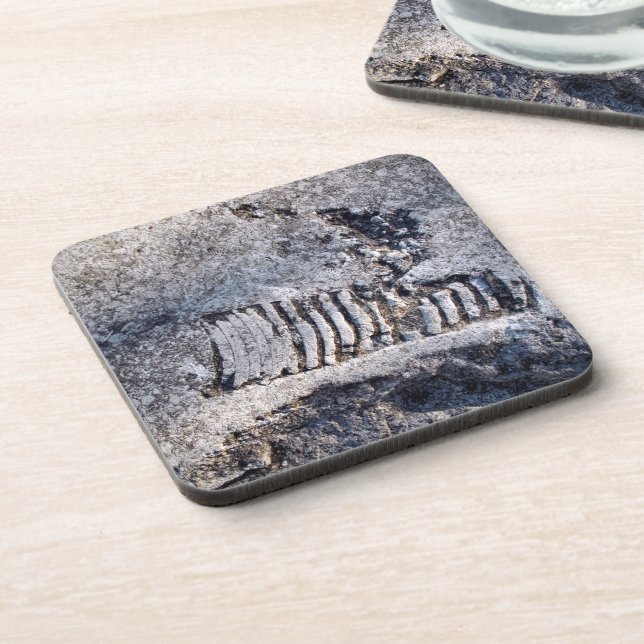 Posavasos Cefalopodo Nautiloide Fósil Molusco del Mar Antigu (Lado Izquierdo)