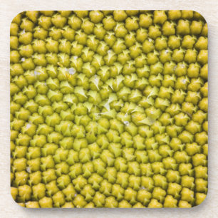 Posavasos Centro de girasol gigante (Helianthus annuus)