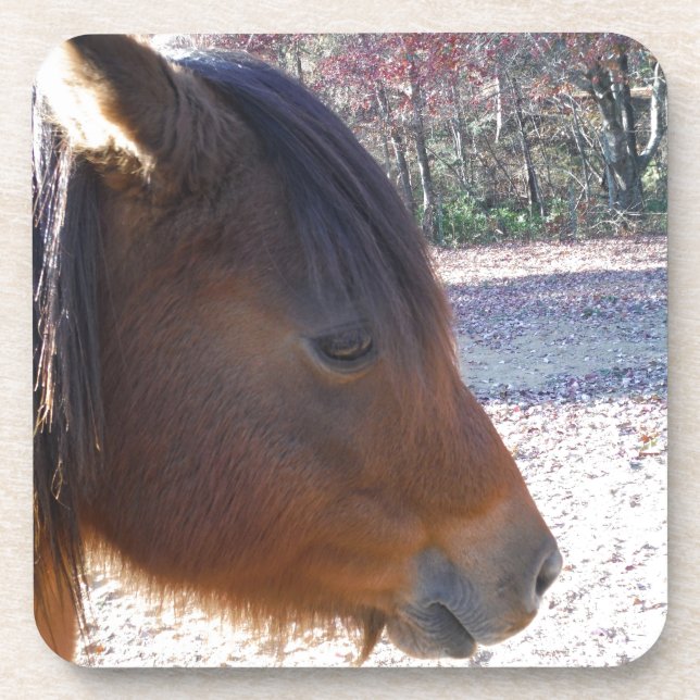 Posavasos Cerco del caballo marrón, Pequeño marrón (Frente)