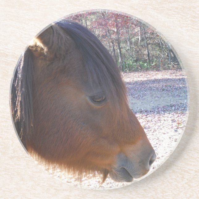 Posavasos Cerco del caballo marrón, Pequeño marrón (Frente)