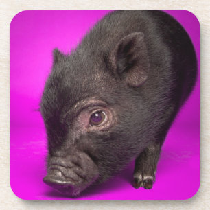 Posavasos Cerdo negro del bebé