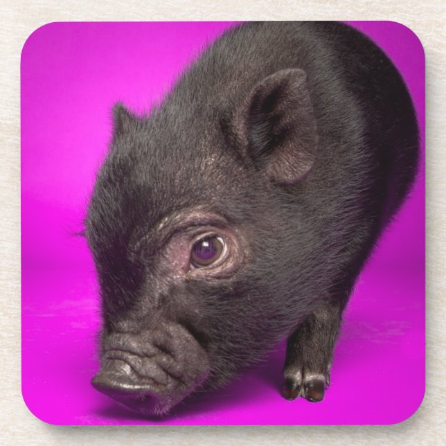 Posavasos Cerdo negro del bebé (Frente)