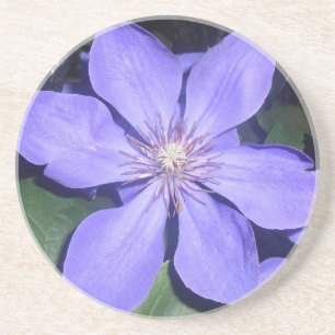 Posavasos Césarine