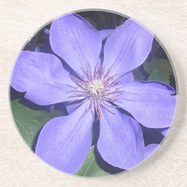 Posavasos Césarine (Frente)