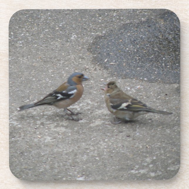 Posavasos Chaffinch Feed Me Cork Coaster (Frente)