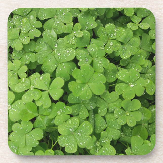 Posavasos Chamrock fresco verde, afortunada almohada St Patr (Frente)