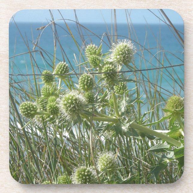 Posavasos chardones (Frente)