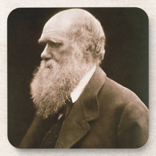Posavasos Charles Darwin (1809-82) (foto)