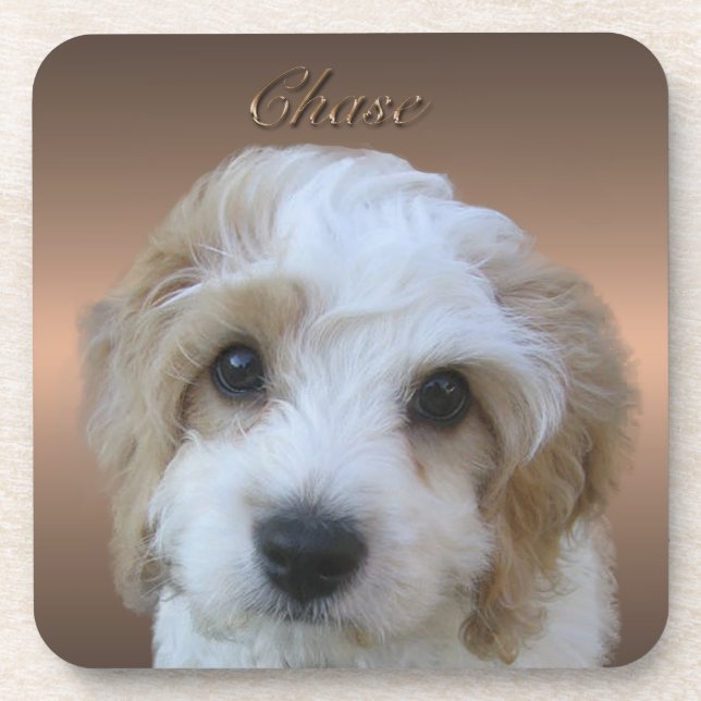 Posavasos Chase Cork Coaster (Frente)