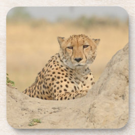 Posavasos Cheetah Gaze Coaster