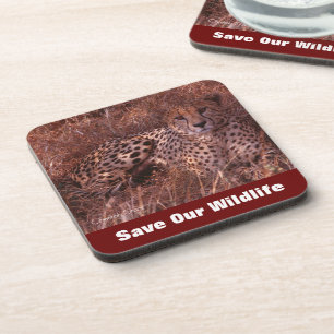 Posavasos Cheetah Stare salva nuestra vida salvaje