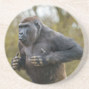 Posavasos Chest Beating Gorilla