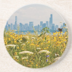 Posavasos Chicago según lo visto del pájaro del puerto de