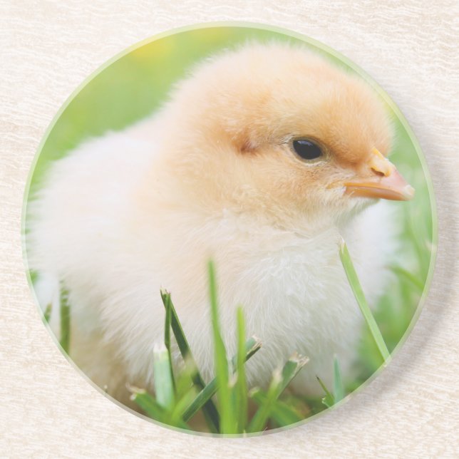 Posavasos Chick (Frente)