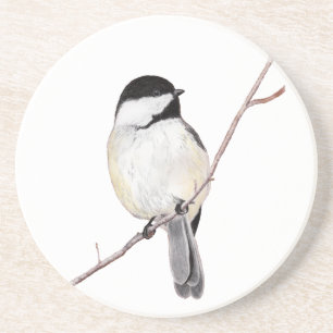 Posavasos Chickadee