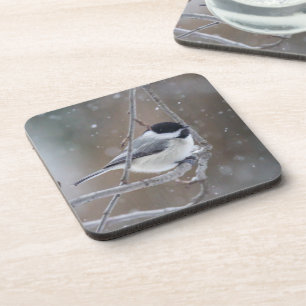 Posavasos Chickadee con gorra negra - Songbird
