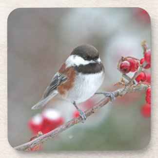 Posavasos Chickadee en nieve que cae con las bayas rojas