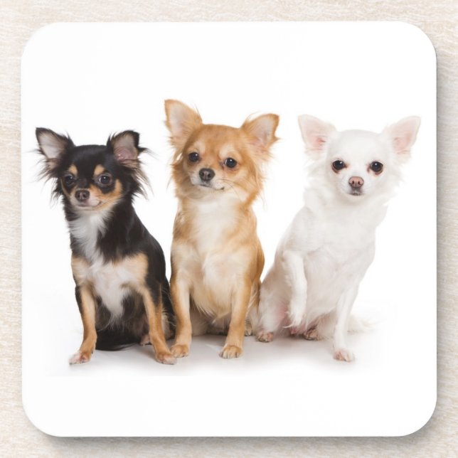 Posavasos Chihuahua Coasters (Frente)