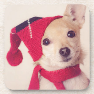 Posavasos Chihuahua en casquillo del invierno
