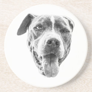 Posavasos Chilly Dusk Canine Echo