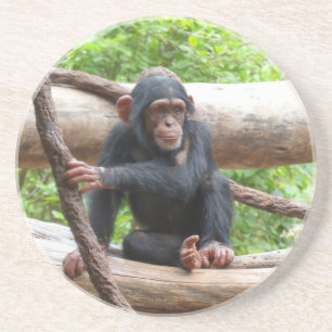 Posavasos Chimpanzee 001